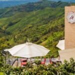 Mirador San Alberto (Buenavista)